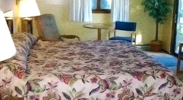 Allyndale Motel, Varaa Motelli Hotellit Minnesota pysäköinnillä, Pysäköinti