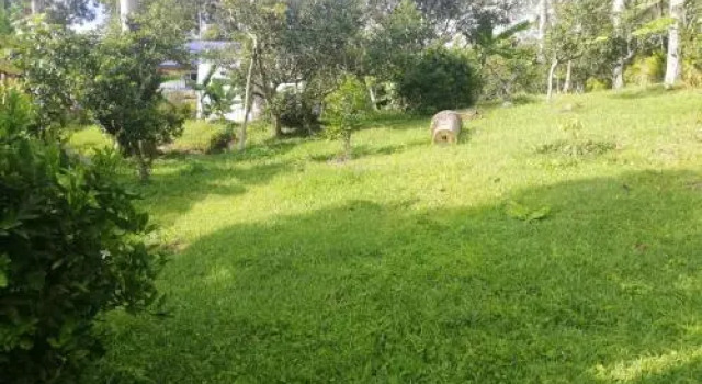 Finca el Edén, Boek Hotel Fusagasuga Cundinamarca