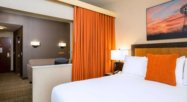 Двухместный люкс c 1 комнатой Cambria Hotel Plano - Frisco