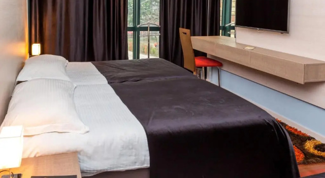 Двухместный номер Standard Hotel S
