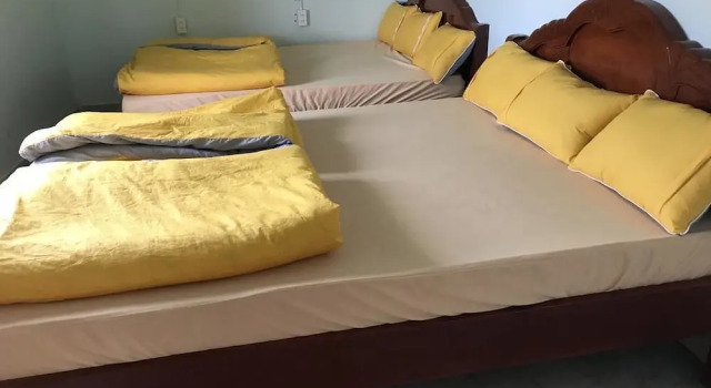 Кровать в общем номере The PM Hostel