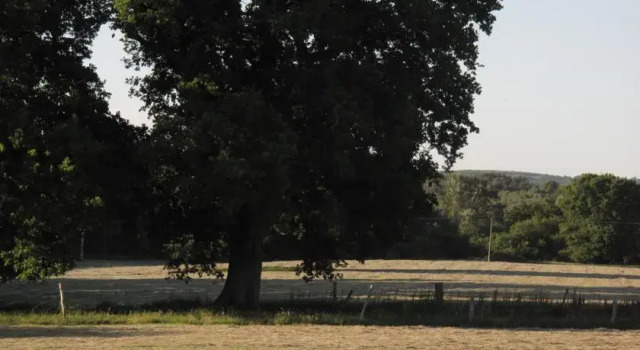 The Shepherds Return, Book Hotel Bignor West Sussex