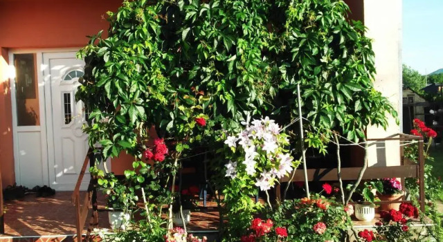 Soba Lavanda, Buchen Sie Hotel Kladovo 