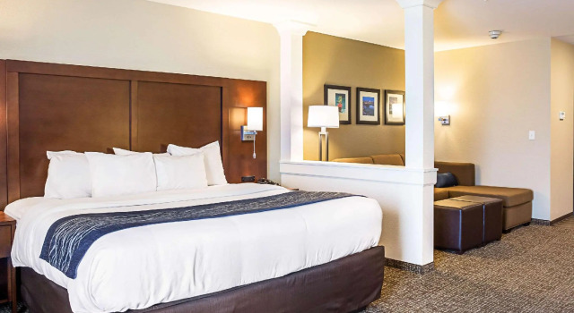 Двухместный люкс Comfort Inn & Suites Niagara Falls Blvd USA
