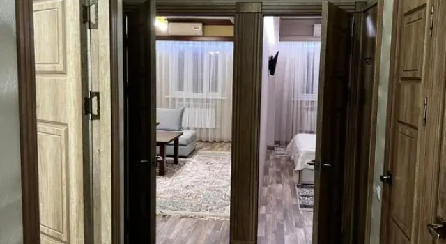 Best Go apartment in the City Center Tashkent (Ц1)