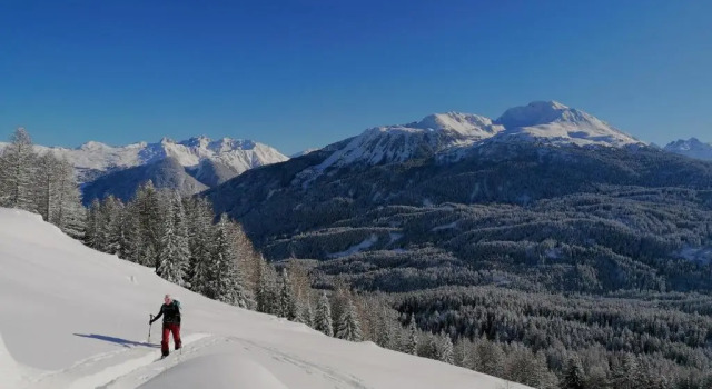 Апартаменты с видом на горы Bergperle Apartments & Mountain Sport