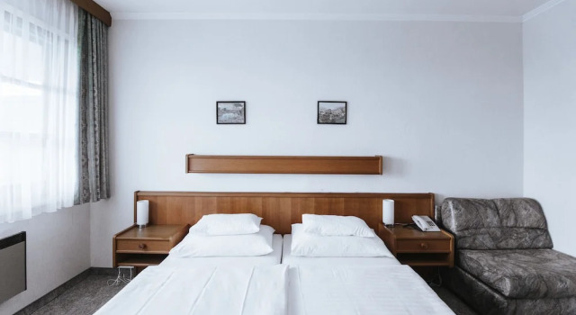 Двухместный номер Standard Цокольный этаж Hotel Mörbischerhof