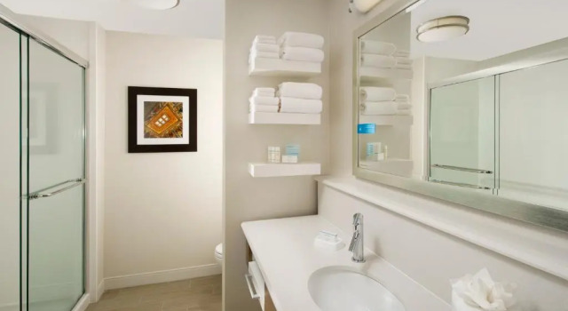 Номер Standard Hampton Inn & Suites Falls Church