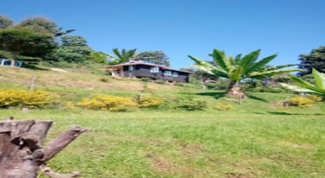 Hills Dacha