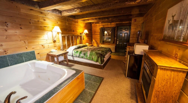 Номер Deluxe Log Cabin Lodge & Suites