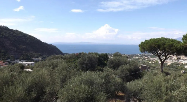 Апартаменты Appartamento Villa degli Ulivi