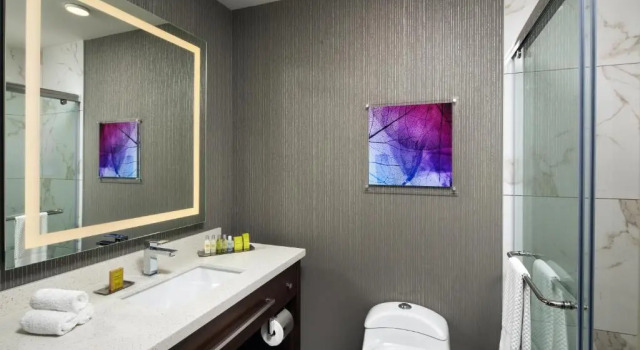 Номер Standard с балконом DoubleTree by Hilton Halifax Dartmouth