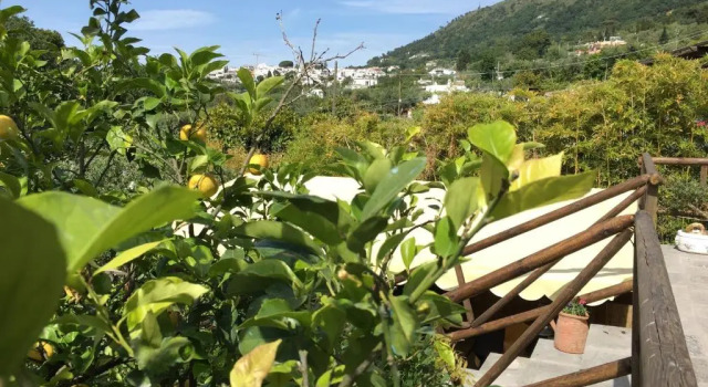 Standard Doppel Zimmer Relais Villa Anna