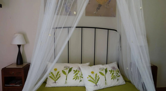 Casa Das Palmeiras-Pedagogic Farm, Book Farm Stay Hotels in Centro with a Pool, Swimming Pool