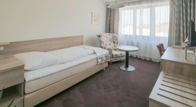 Одноместный номер Standard Hotel Zlatá Hvězda