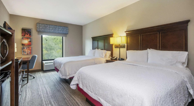 Четырёхместный номер Standard Hampton Inn & Suites Orlando-Apopka