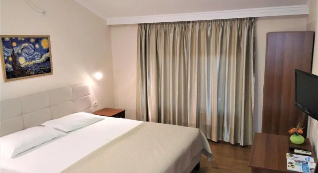 Одноместный номер Standard Hotel Viktoria Tirana