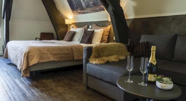 Номер Luxury Hotel de Kastanjefabriek