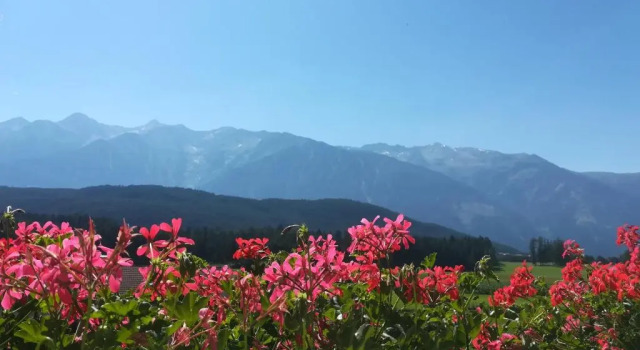 Семейный номер Standard Aktiv-Hotel Traube am Mieminger Sonnenplateau