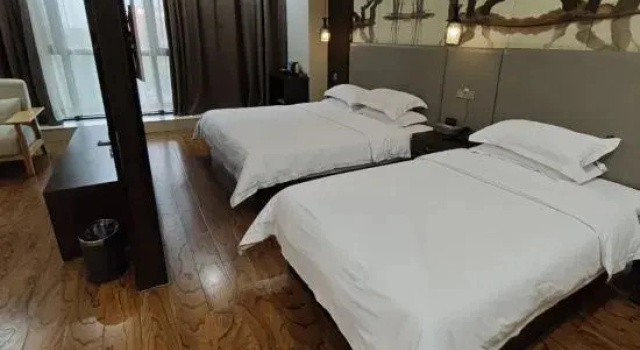 Люкс Zhengzhou Ruitu  Hotel
