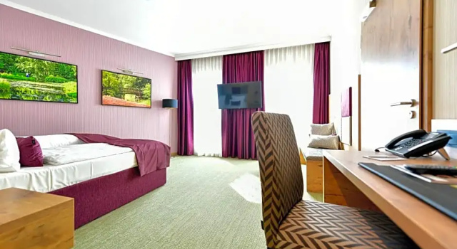 Номер Comfort Best Western Plus Parkhotel & Spa Cottbus