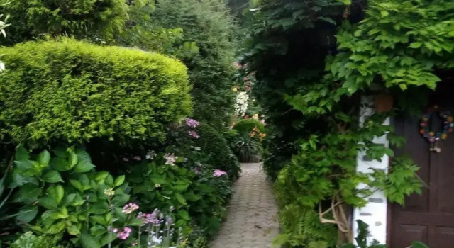 Blumenpension Strauss - Ferienwohnungen, Rezervovat Penzión Hotely v Carinthia s parkováním, Parkování