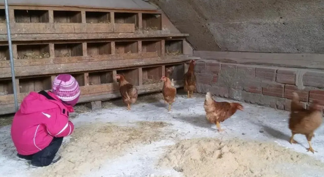 Ferienwohnungen Lichtenegger, Забронировать Отель Отели Вольфсберг с парковкой, Парковка