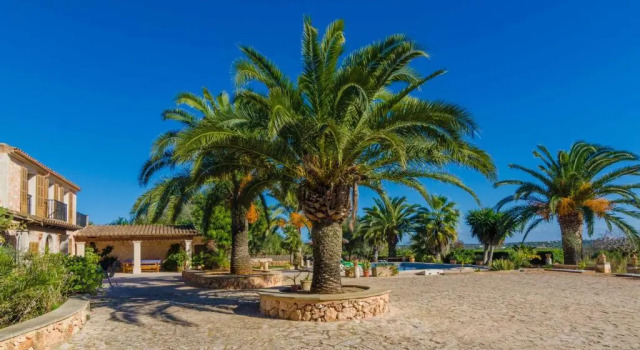 Villa Es Turo