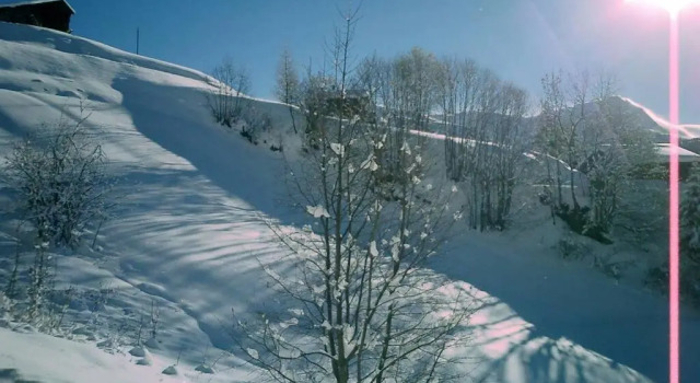 Chalet BANULARA Platz für 14 Personen auf drei Etagen, Book Chalet Villaer i Goms, Villa