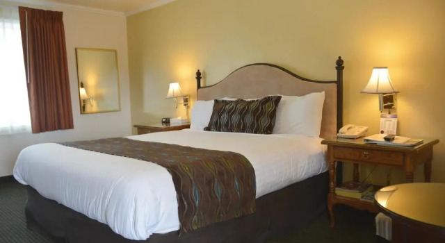Номер Standard Oasis Inn and Suites