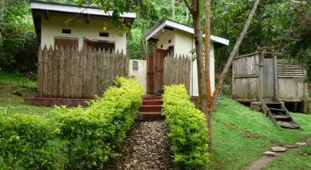 Nshongi Forest Camp