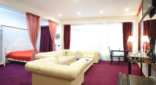 Люкс Standard Aparthotel Domneasca 228