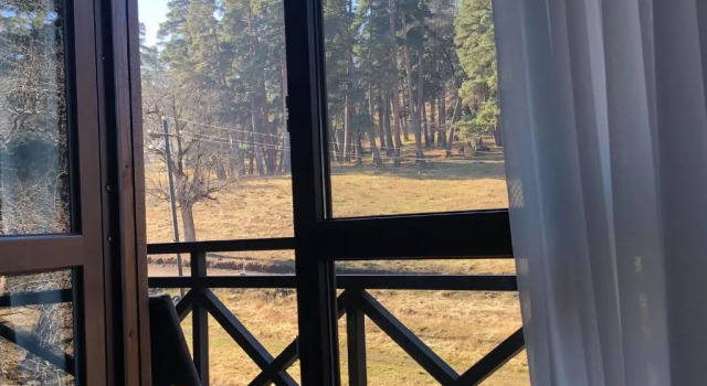 Апартаменты Bakuriani Park Residence Apartment47