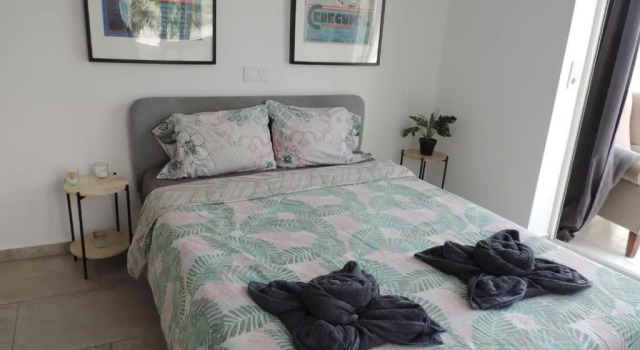 Апартаменты c 1 комнатой Begonia City Center Apartment 230