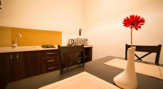 Студия Apartment on Lychakivska