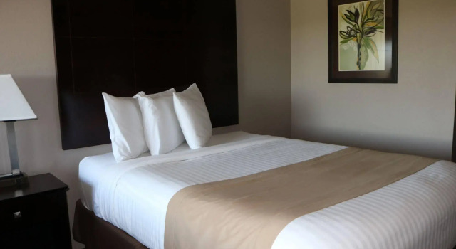 Qube Hotel - Polk City, Buchen Sie Hotel Polk City Iowa