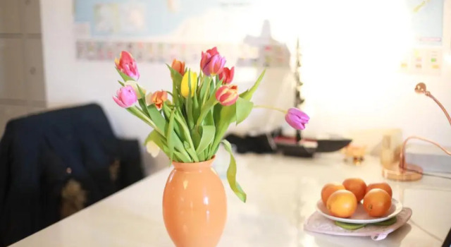 Кровать в общем номере (женский номер) MAC City Hostel