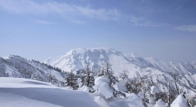 Апартаменты Angel Resort Yuzawa 813