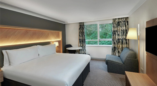 Двухместный номер Standard Hilton Cobham