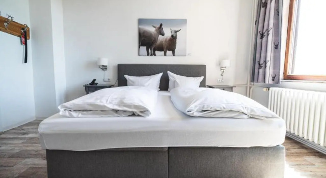 Двухместный номер Standard Landhotel Villa Foresta Braunlage