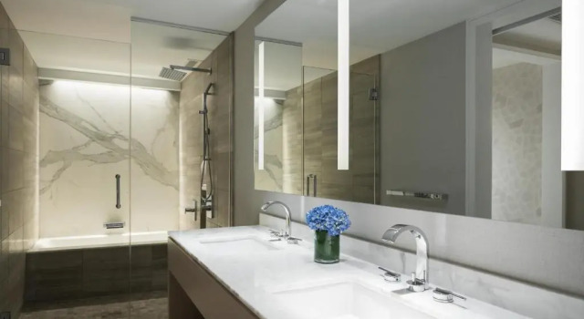Номер Standard с видом на озеро The Ritz-Carlton, Chicago