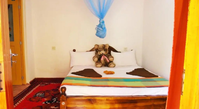 Номер Standard Sigiri Picaso Home Stay