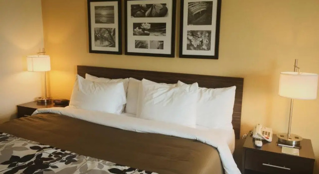 Люкс Sleep Inn & Suites Carlsbad Caverns Area