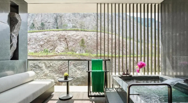 Двухместный номер Standard Banyan Tree Nanjing Garden Expo