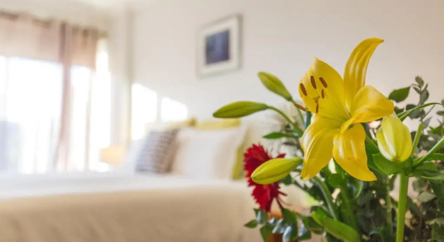 Номер Standard с видом на окрестности Sandpiper Motel Apollo Bay