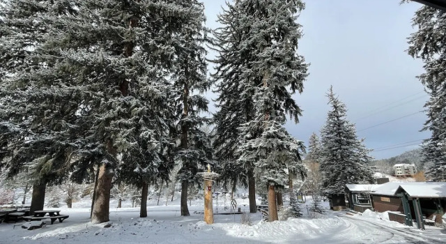Одноместный номер Standard Highland Haven Creekside Inn