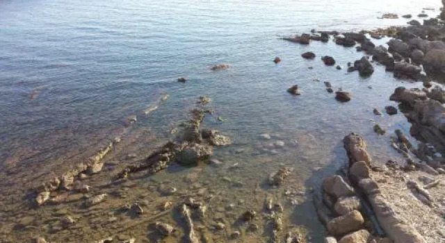 Alghero Heart