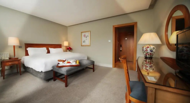 Двухместный номер Standard Ballymascanlon Hotel and Golf Resort