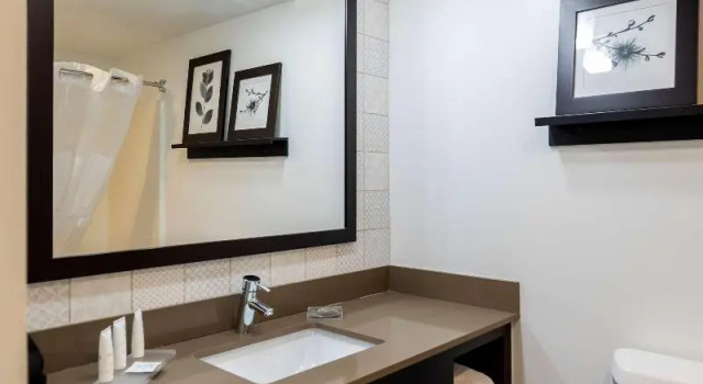 1 slaapkamer Tweepersoonssuite Country Inn & Suites Appleton