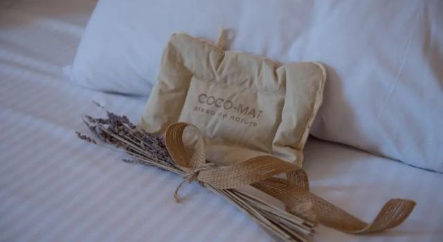 Двухместный номер Standard с видом на внутренний двор Hotel Palmyra